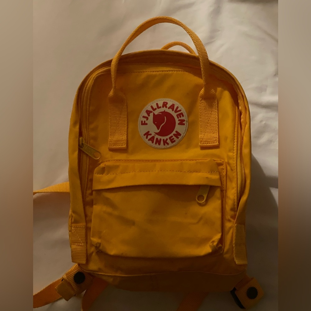 Fjallraven Kanken mini backpack